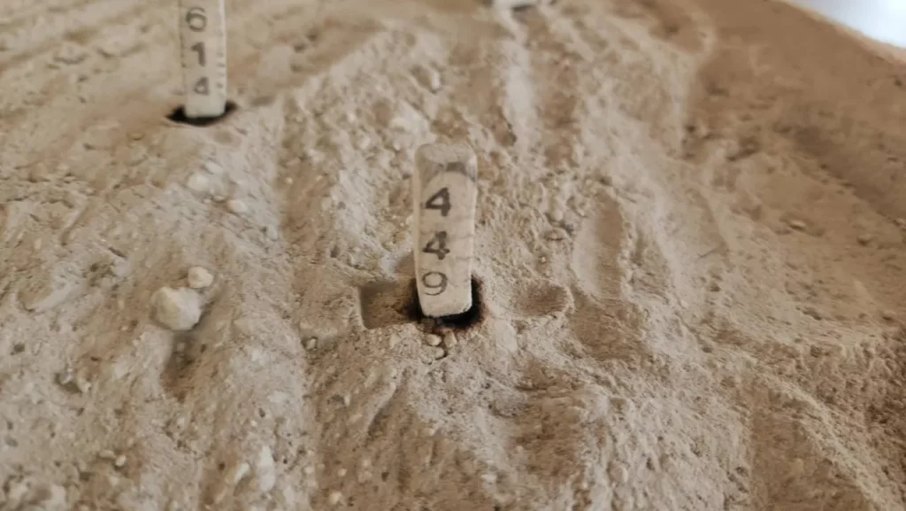 เลขหลวงพ่อสมหวัง 16/11/68