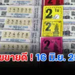 มาแล้ว !!! เลขขายดี 16/6/2569 เลขพุ่มพวง ป้าขยัน เลขปฏิทินจีน เกลี้ยงแผง
