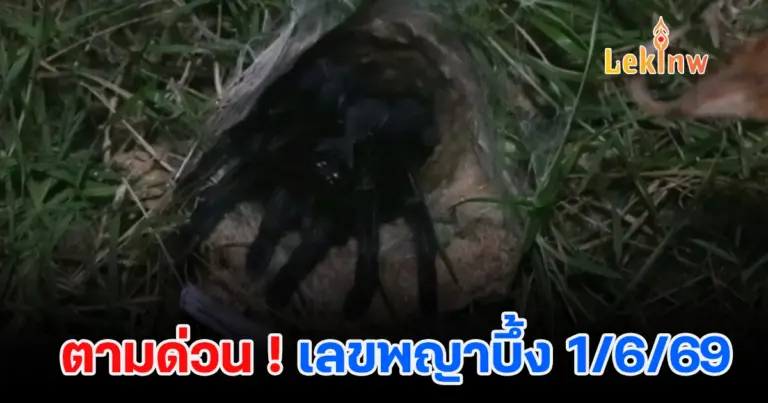 คอหวยตาโต! พญาบึ้งอ่างทอง-ปราจีนบุรี  สู้ฝนคาบเลขเด็ดให้ลุ้นงวด 1 มิ.ย. นี้