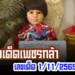 เลขเด็ดเพชรกล้า 1/11/2569 หวยปิงปอง ชุดนำโชค เลขสองตัวงวดนี้?